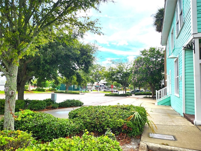 1205 Omaha Cir, Palm Harbor, FL 34683 - view of yard