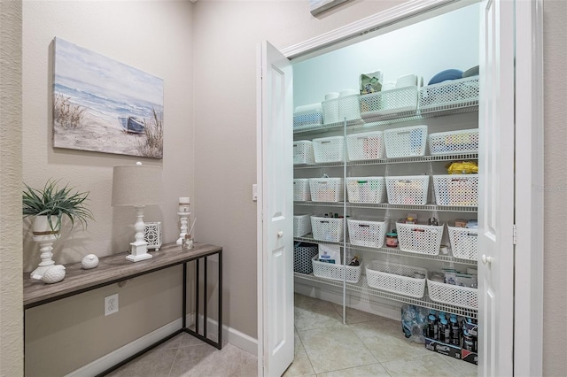 17240 Old Tobacco, Lutz, FL 33558 - photo 18