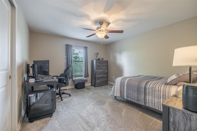 17240 Old Tobacco, Lutz, FL 33558 - photo 30