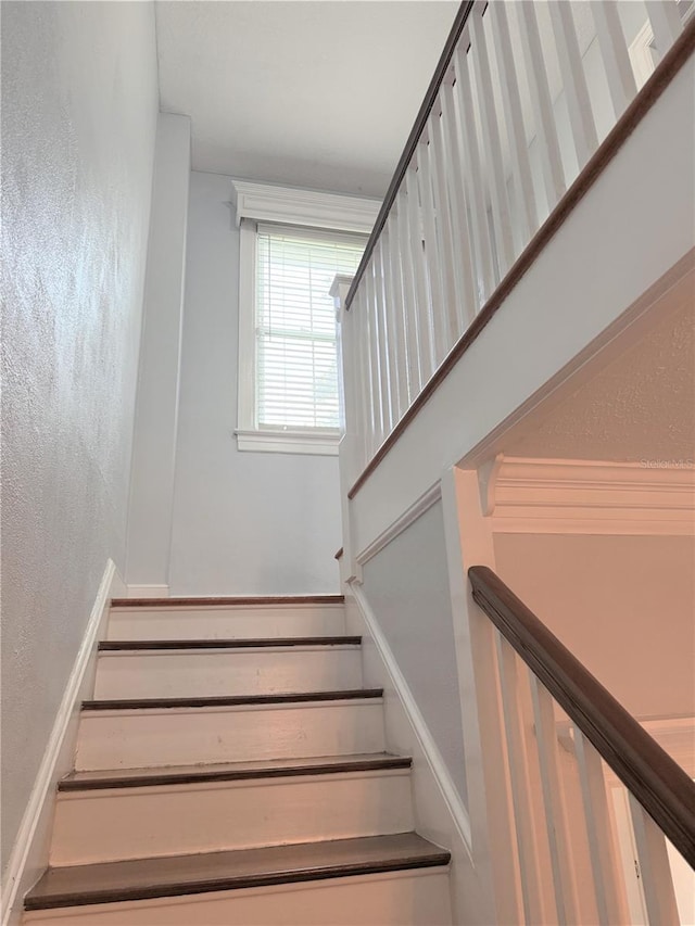 1266 Belmont Ter, Jacksonville, FL 32207 - photo 34