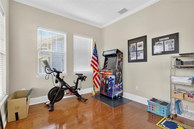 5720 Tortoise Pl, Apollo Beach, FL 33572 - workout room featuring wood finished floors and ornamental molding