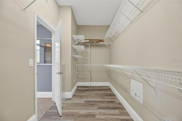 5720 Tortoise Pl, Apollo Beach, FL 33572 - walk in closet featuring wood finished floors