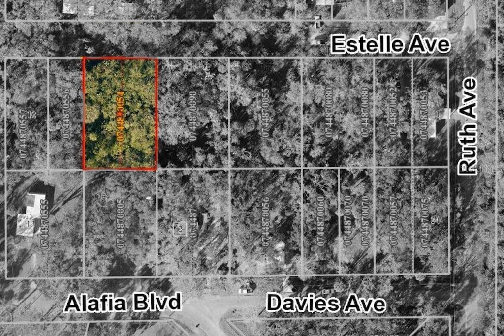 931 Estelle Ave, Brandon, FL 33511 - photo 1