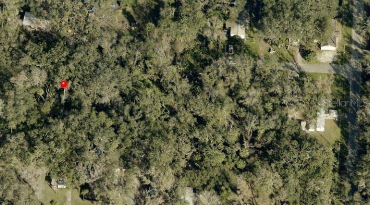 931 Estelle Ave, Brandon, FL 33511 - photo 2