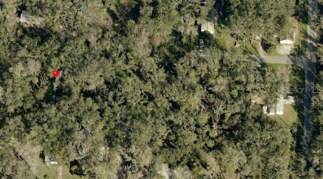 931 Estelle Ave, Brandon, FL 33511 - photo 2