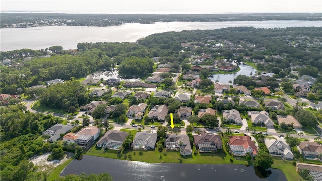 3985 Capitol Dr, Palm Harbor, FL 34685 - photo 5
