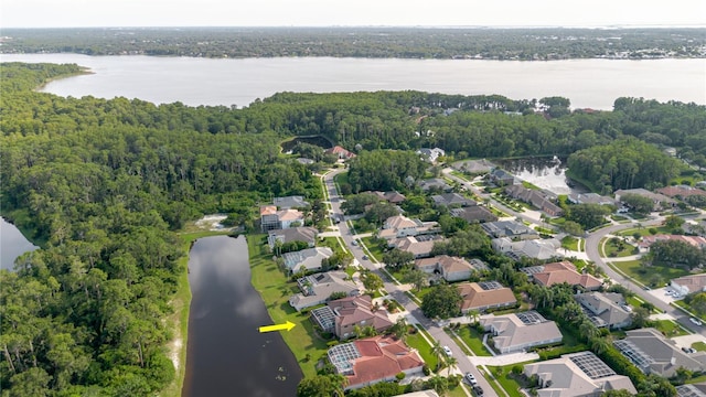 3985 Capitol Dr, Palm Harbor, FL 34685 - photo 6