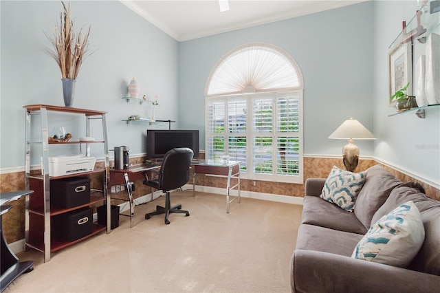 3985 Capitol Dr, Palm Harbor, FL 34685 - photo 29