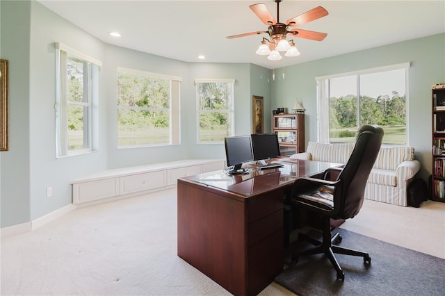 3985 Capitol Dr, Palm Harbor, FL 34685 - photo 38