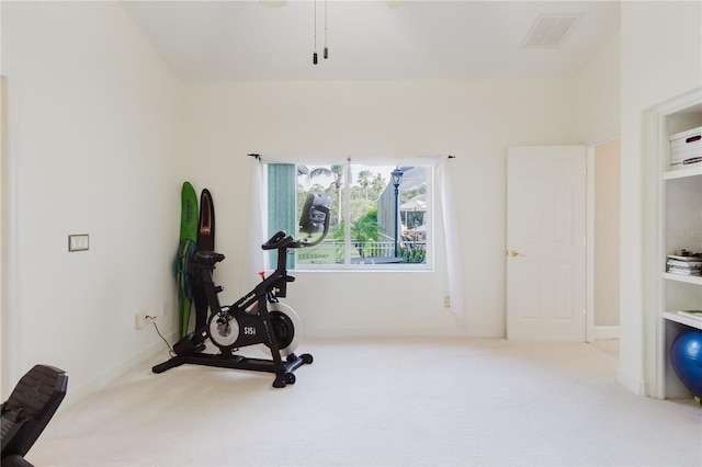 3985 Capitol Dr, Palm Harbor, FL 34685 - photo 40