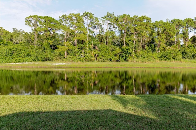 3985 Capitol Dr, Palm Harbor, FL 34685 - photo 61