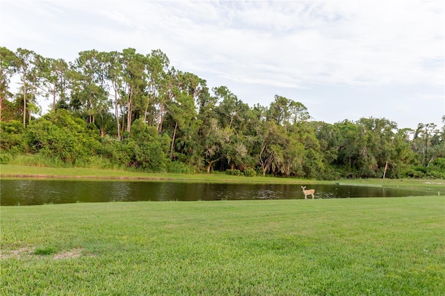 3985 Capitol Dr, Palm Harbor, FL 34685 - photo 62