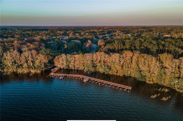 3985 Capitol Dr, Palm Harbor, FL 34685 - photo 68