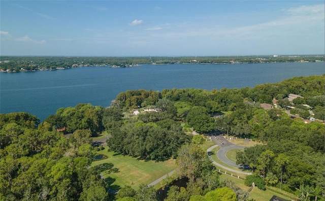 3985 Capitol Dr, Palm Harbor, FL 34685 - photo 71