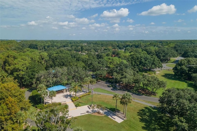 3985 Capitol Dr, Palm Harbor, FL 34685 - photo 72