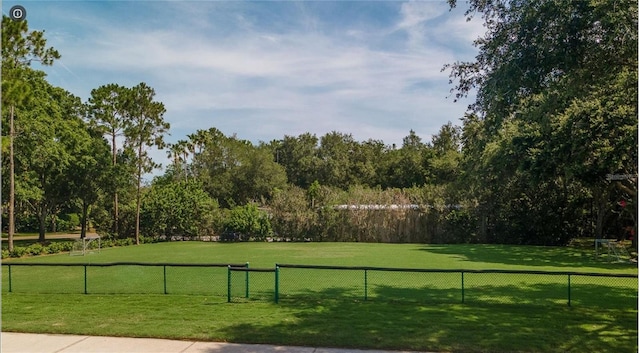 3985 Capitol Dr, Palm Harbor, FL 34685 - photo 74