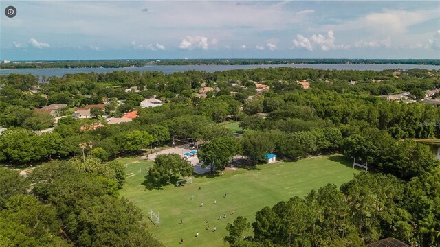 3985 Capitol Dr, Palm Harbor, FL 34685 - photo 79