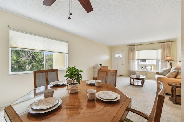 2226 Switzerland Way Unit 66, Clearwater, FL 33763 - photo 10