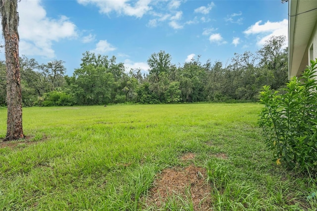 9824 Brantley Rd, Lithia, FL 33547 - photo 42