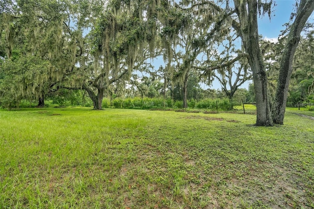 9824 Brantley Rd, Lithia, FL 33547 - photo 43