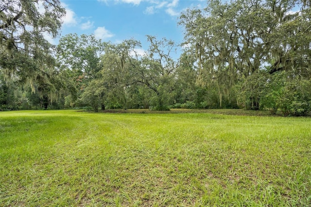 9824 Brantley Rd, Lithia, FL 33547 - photo 44