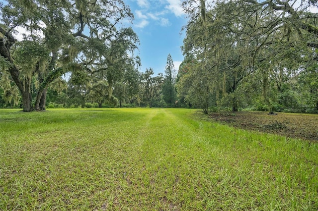 9824 Brantley Rd, Lithia, FL 33547 - photo 45