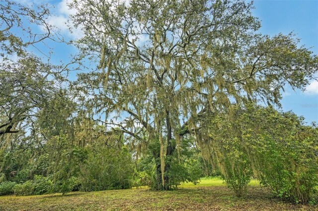 9824 Brantley Rd, Lithia, FL 33547 - photo 46