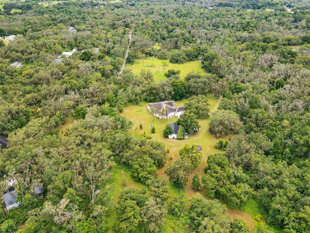 9824 Brantley Rd, Lithia, FL 33547 - photo 47
