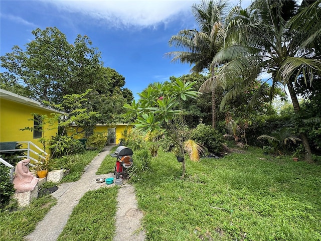 6951 NW 5th Ct, Miami, FL 33150 - view of yard