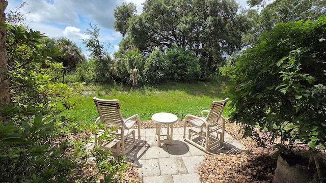 173 Appaloosa Trl, River Ranch, FL 33867 - photo 3