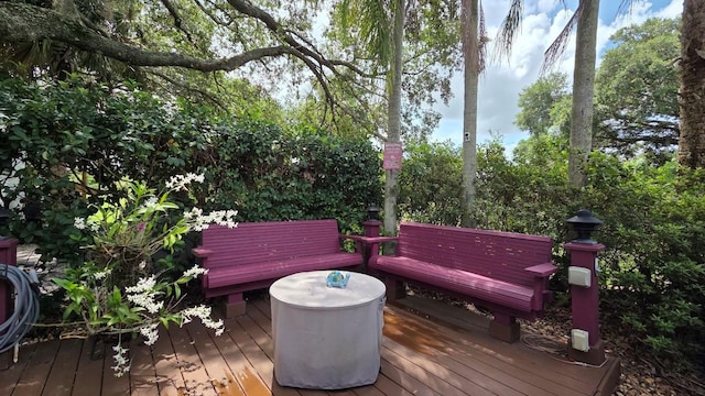 173 Appaloosa Trl, River Ranch, FL 33867 - photo 4