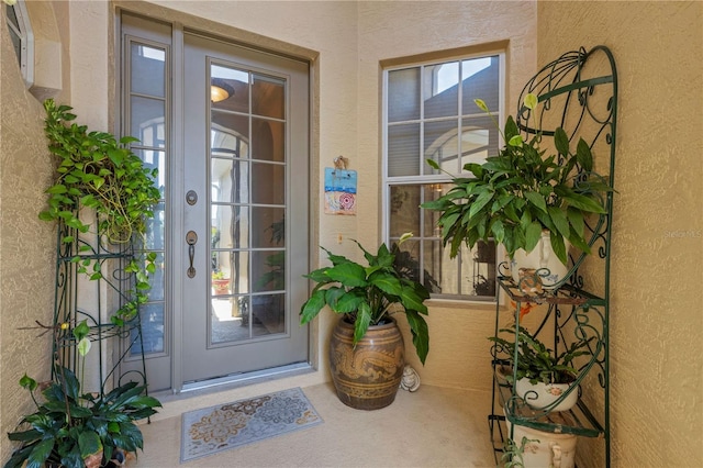 3503 92nd Ave E, Parrish, FL 34219 - entrance to property featuring stucco siding and french doors