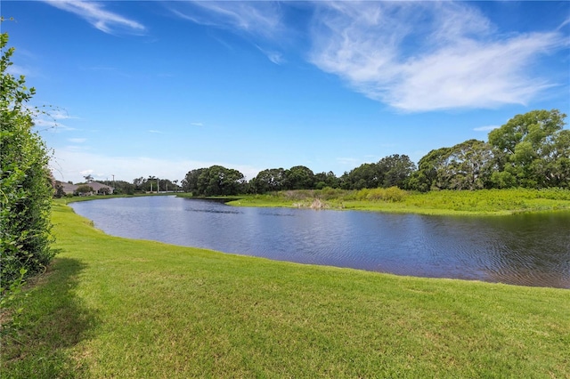 3503 92nd Ave E, Parrish, FL 34219 - water view