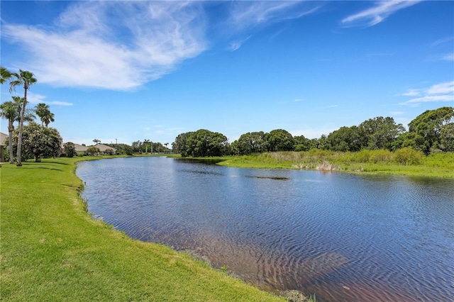 3503 92nd Ave E, Parrish, FL 34219 - water view