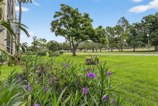 2800 Cove Cay Dr Unit 1A, Clearwater, FL 33760 - photo 32