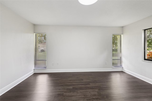 545 Westlake Blvd Unit 64, Palm Harbor, FL 34683 - photo 35