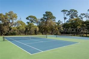 545 Westlake Blvd Unit 64, Palm Harbor, FL 34683 - photo 55