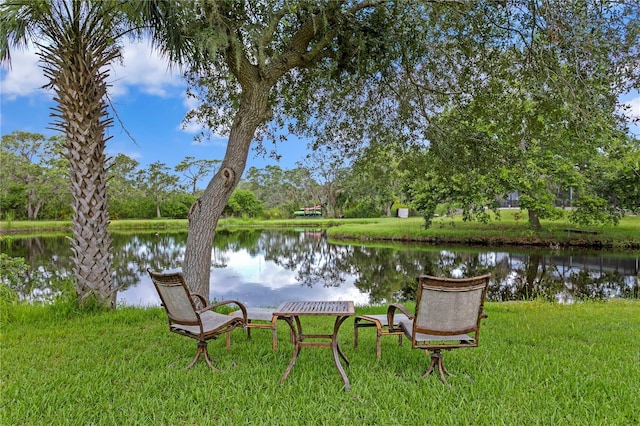 12532 Twin Branch Acres Rd, Tampa, FL 33626 - photo 57