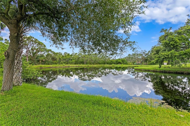 12532 Twin Branch Acres Rd, Tampa, FL 33626 - photo 58
