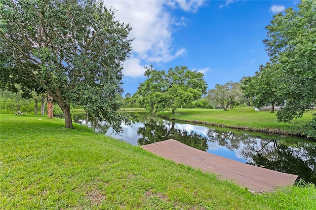 12532 Twin Branch Acres Rd, Tampa, FL 33626 - photo 59