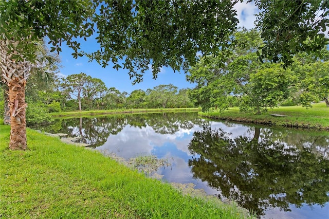 12532 Twin Branch Acres Rd, Tampa, FL 33626 - photo 60