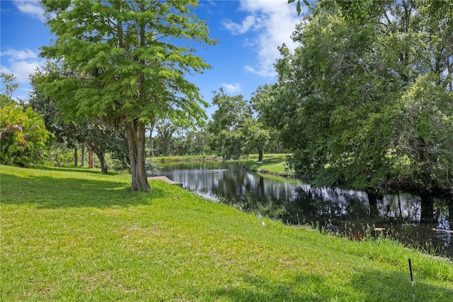 12532 Twin Branch Acres Rd, Tampa, FL 33626 - photo 61