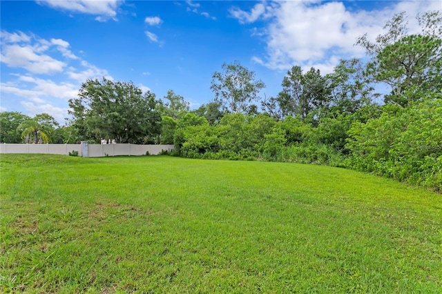 12532 Twin Branch Acres Rd, Tampa, FL 33626 - photo 63