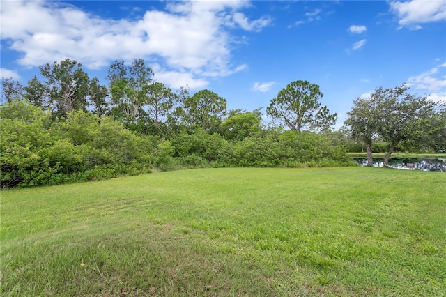 12532 Twin Branch Acres Rd, Tampa, FL 33626 - photo 64