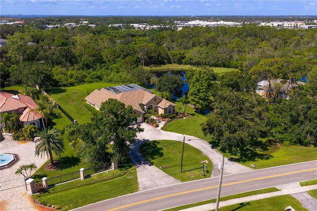 12532 Twin Branch Acres Rd, Tampa, FL 33626 - photo 75