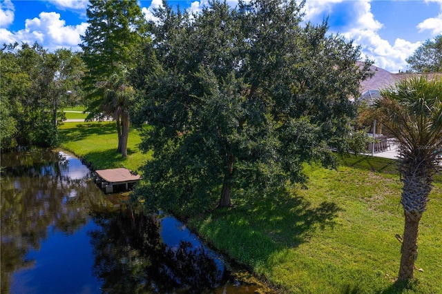 12532 Twin Branch Acres Rd, Tampa, FL 33626 - photo 80