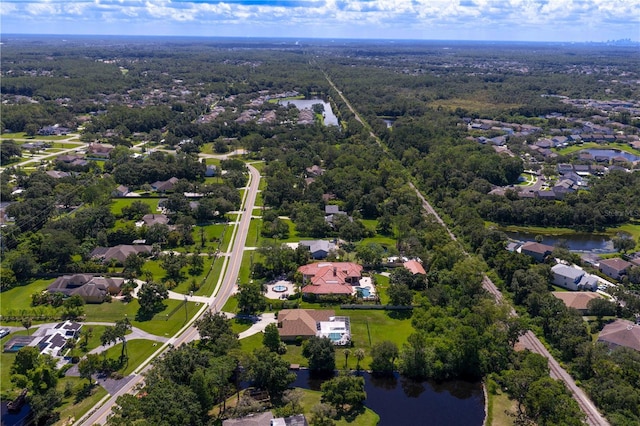 12532 Twin Branch Acres Rd, Tampa, FL 33626 - photo 89