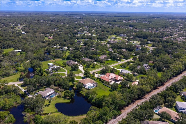 12532 Twin Branch Acres Rd, Tampa, FL 33626 - photo 90