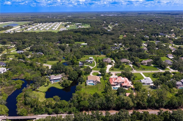 12532 Twin Branch Acres Rd, Tampa, FL 33626 - photo 93