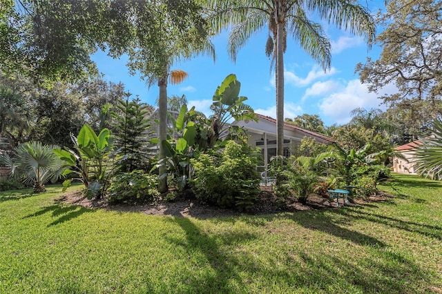 705 Lighthouse Dr, Tarpon Springs, FL 34689 - photo 33